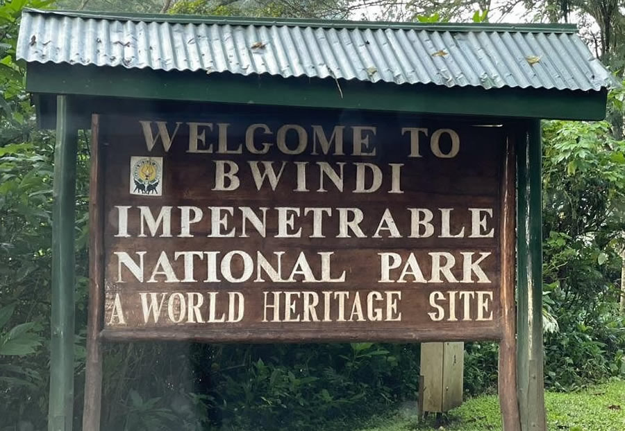 Buhoma section Bwindi Forest